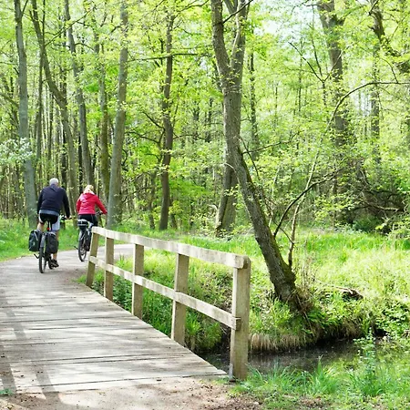 Hafenloge - Helle Mit Fantastischen Blick Auf Den Warener Hafen Und Binnenmueritz